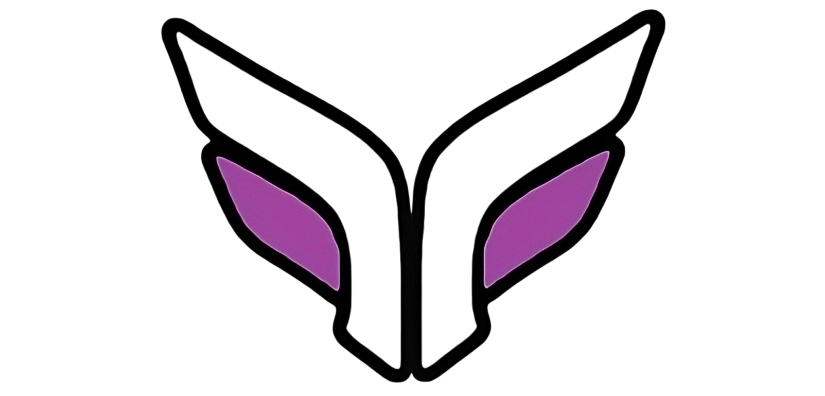 LOGO vixturn